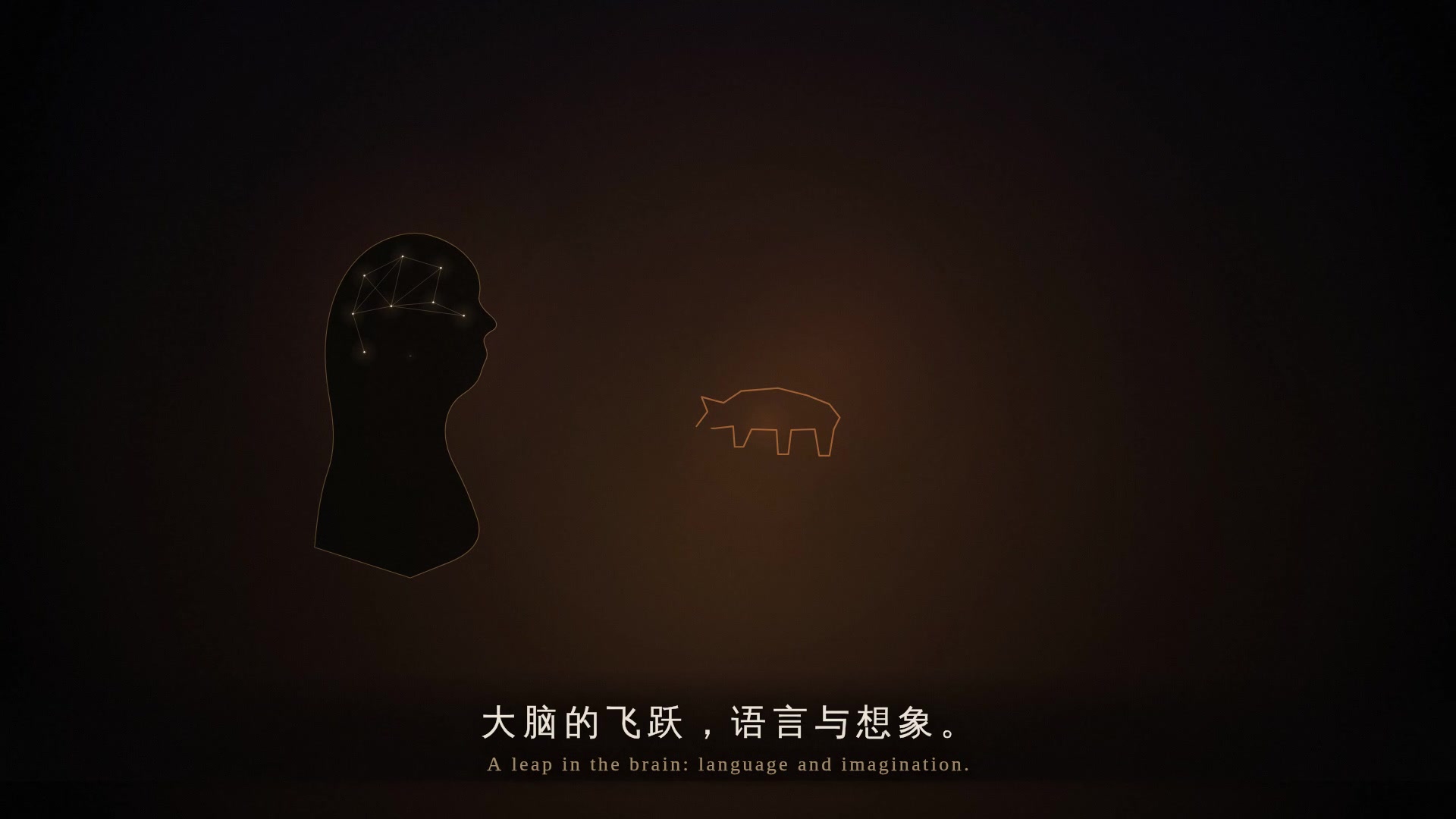大脑与文明